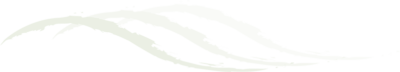 waves